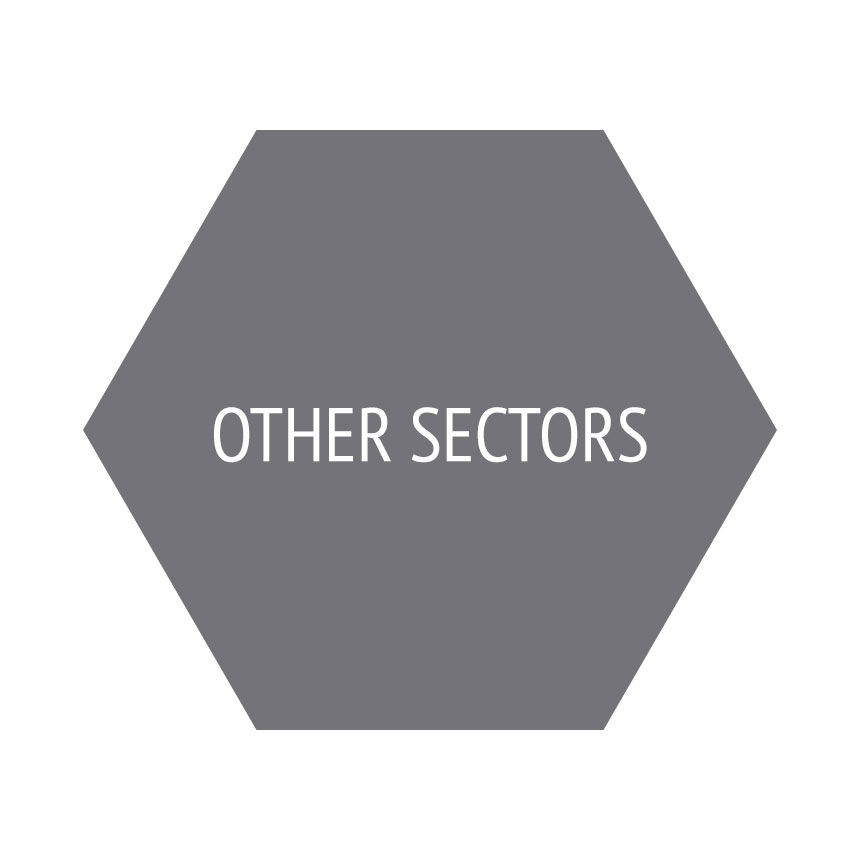 Other Sectors