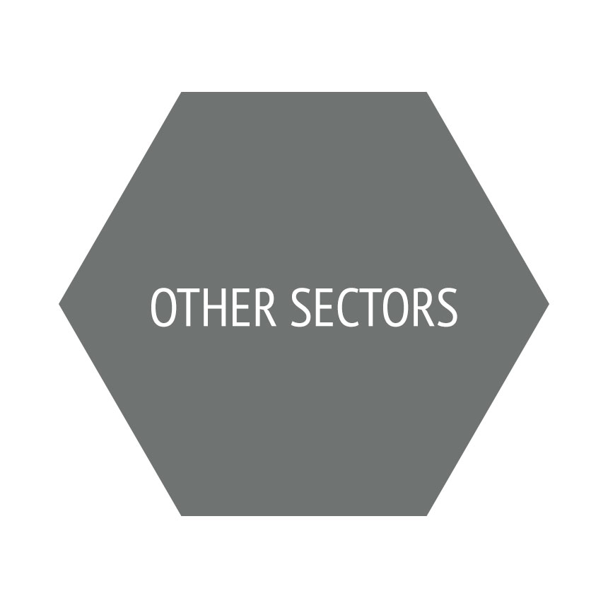 Other Sectors